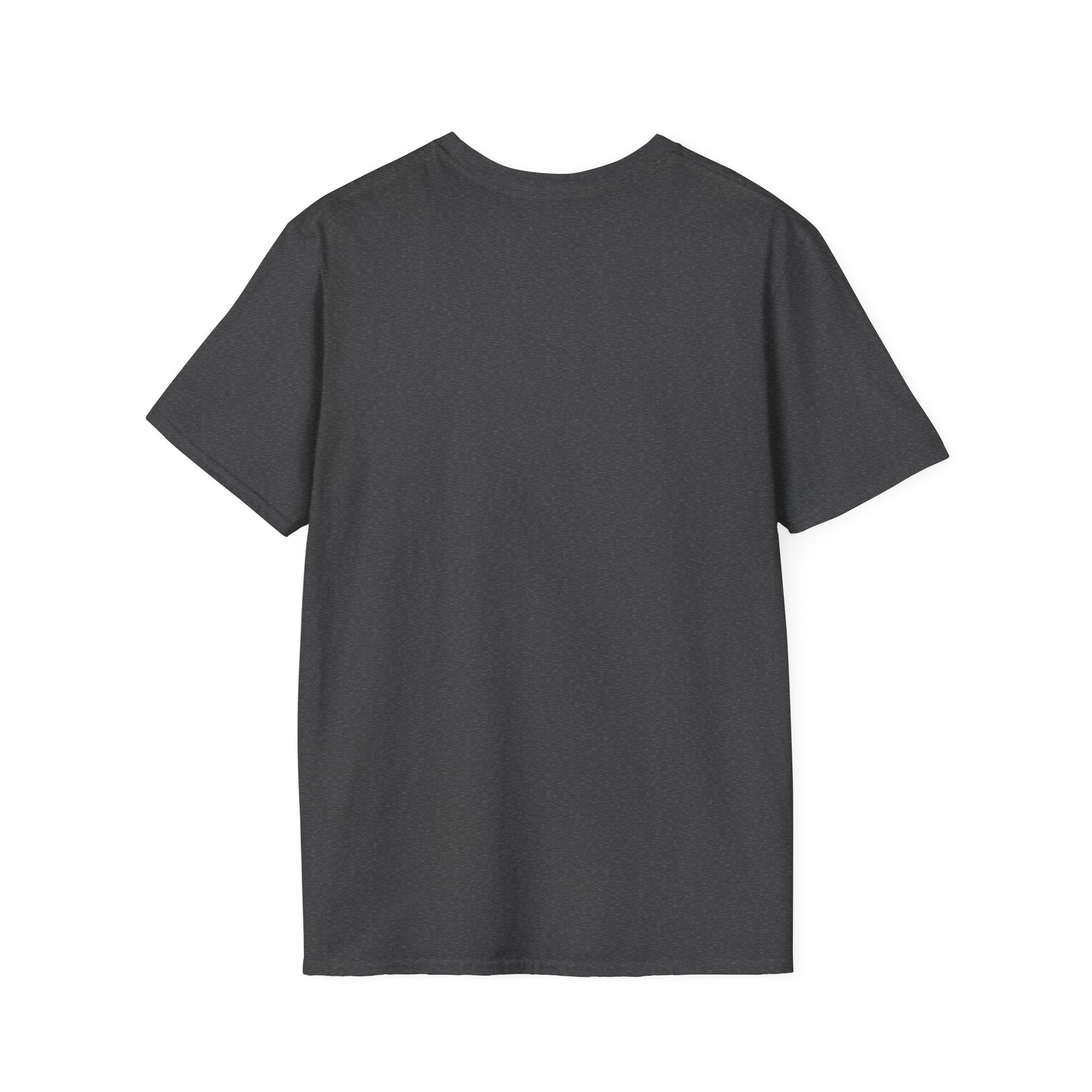 Blank White T-Shirt | Plain Crewneck Tee, Unprinted Shirt