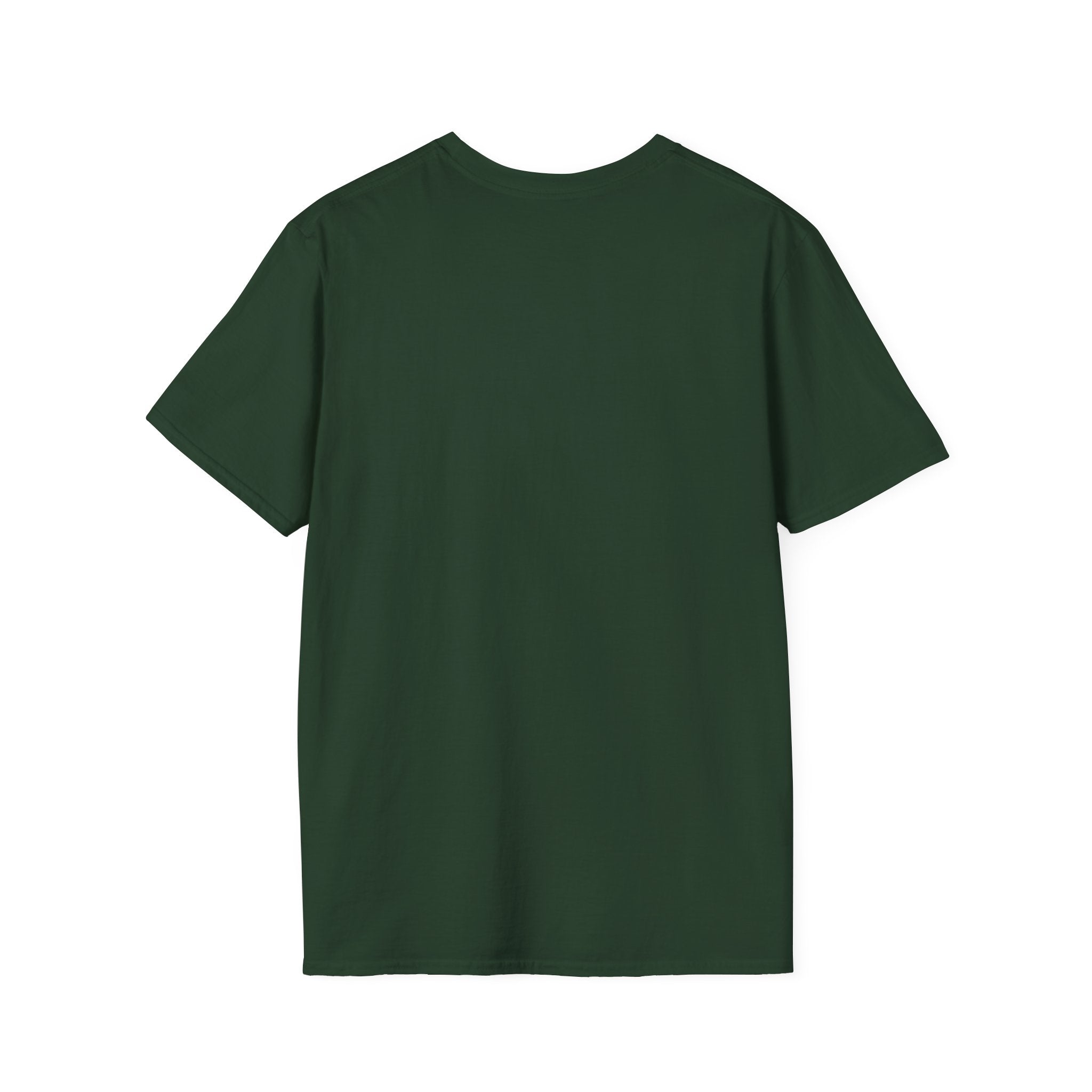 Blank White T-Shirt | Plain Crewneck Tee, Unprinted Shirt